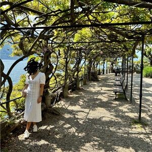 Reformation Linen midi dress